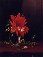 Heade, Martin Johnson - Red Flower in a Vase